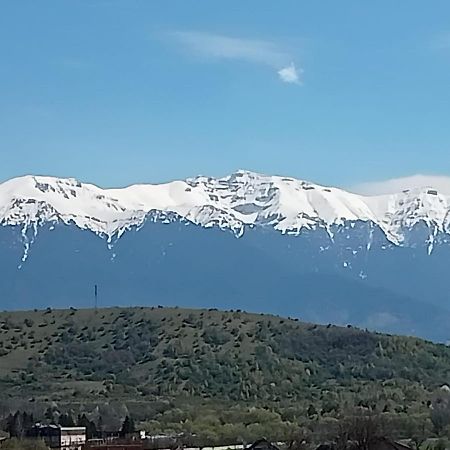 Le Nid D'Adam Lejlighed Zărneşti Eksteriør billede