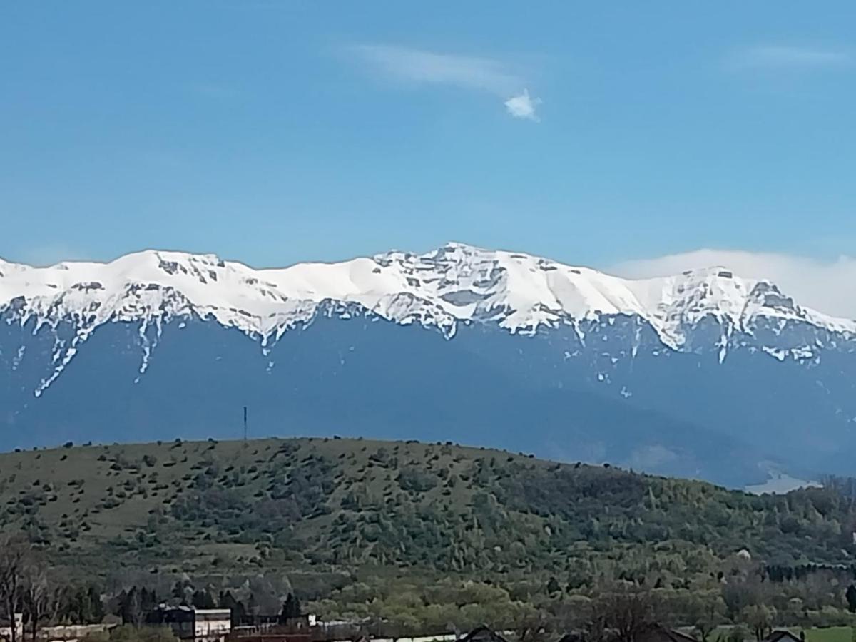 Le Nid D'Adam Lejlighed Zărneşti Eksteriør billede